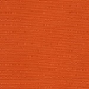 101-Light Orange