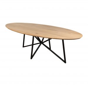 boomstamtafel ovaal.