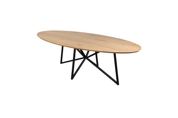 boomstamtafel ovaal.